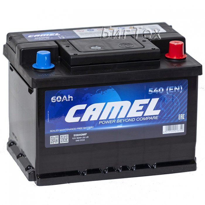 АКБ 6СТ-60о/п "CAMEL" 55840MF (низкий) 560А